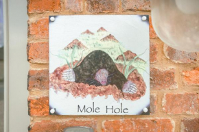 Mole Hole